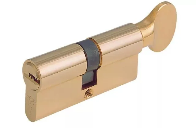Euro profile with thumbturn